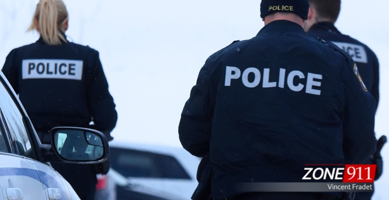 Image illustration archives