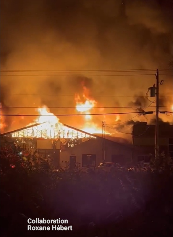 Screenshot 20231025 001848 Business Suite1W