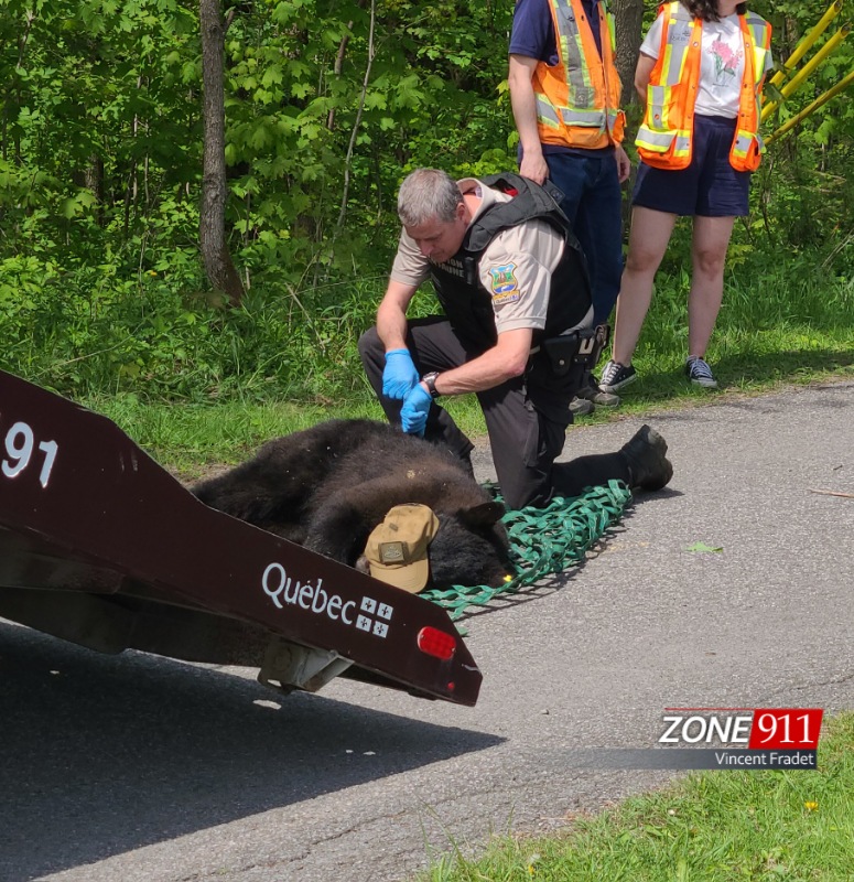 20240522 105423(0)1W