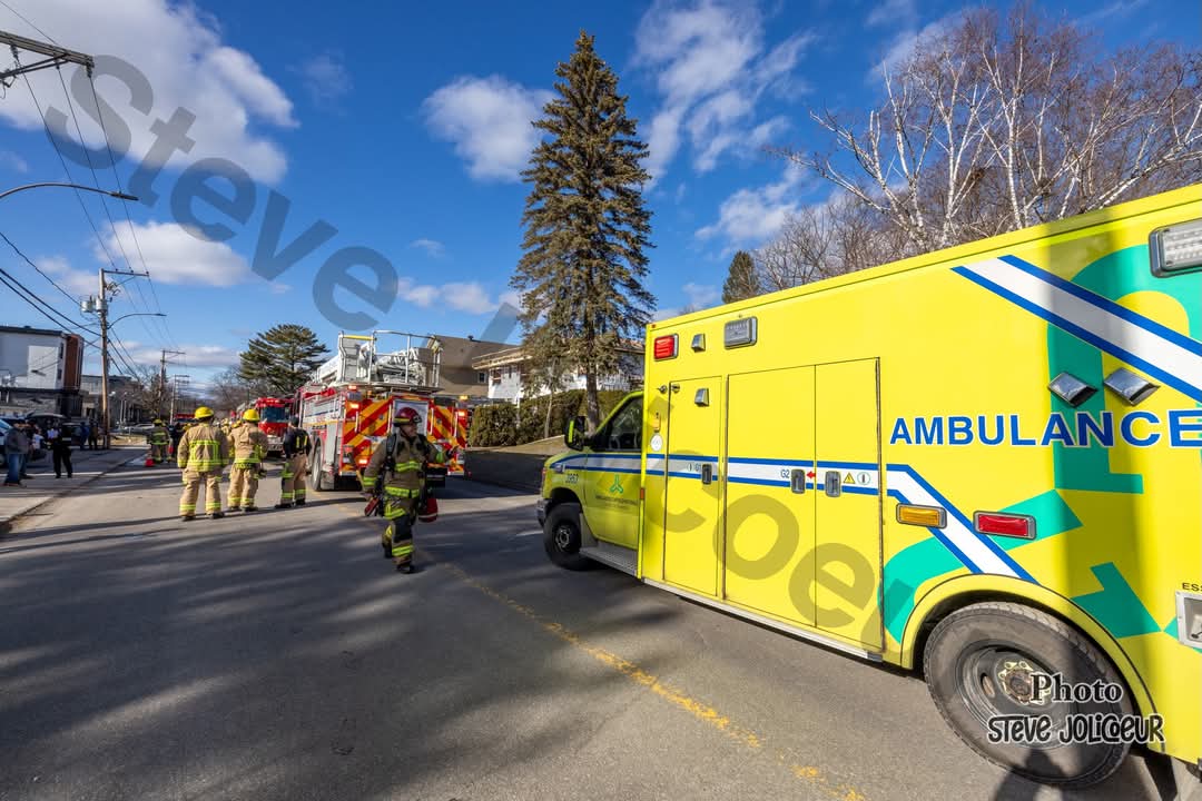 FB IMG 1743807487393