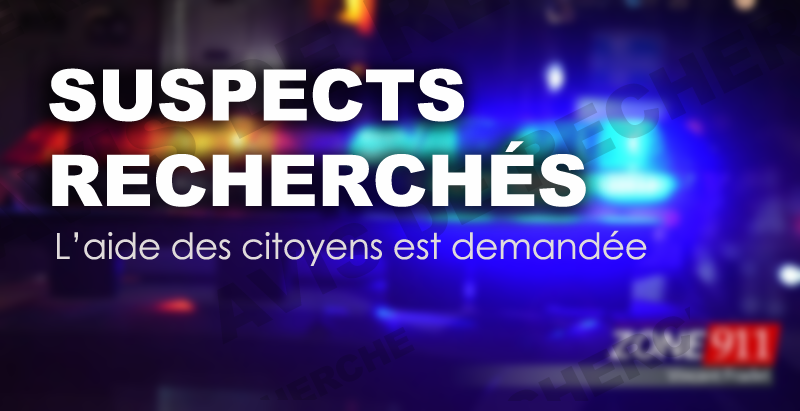 Vol de plusieurs armes à feu dans une résidence de St-Prosper la Sûreté du Québec demande l’aide du public 