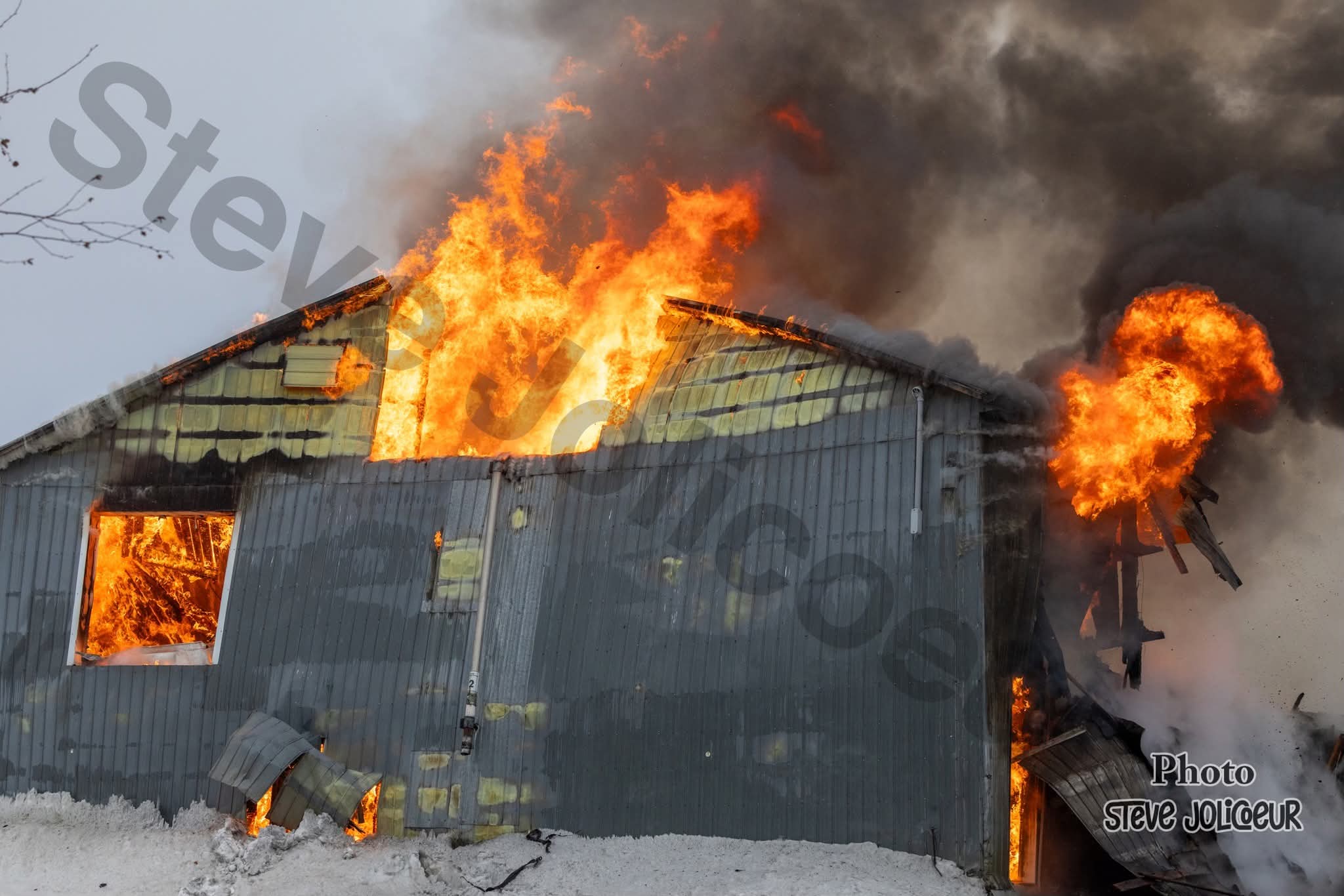 FB IMG 1768251489076