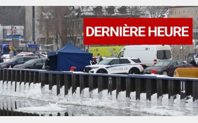 Collaboration Steve Jolicoeur