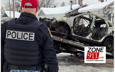 image illustration archives